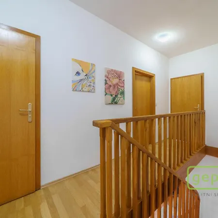 Apartment Mina