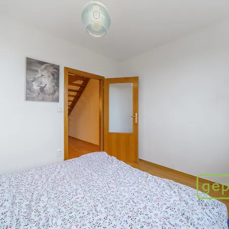 Mina Apartment Karlovy Vary